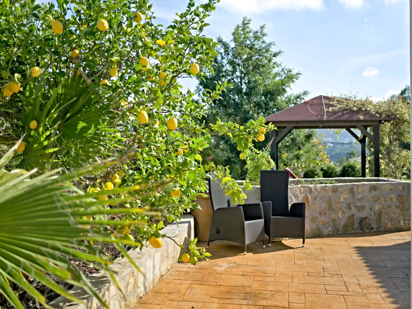 Casa Carma-Outside