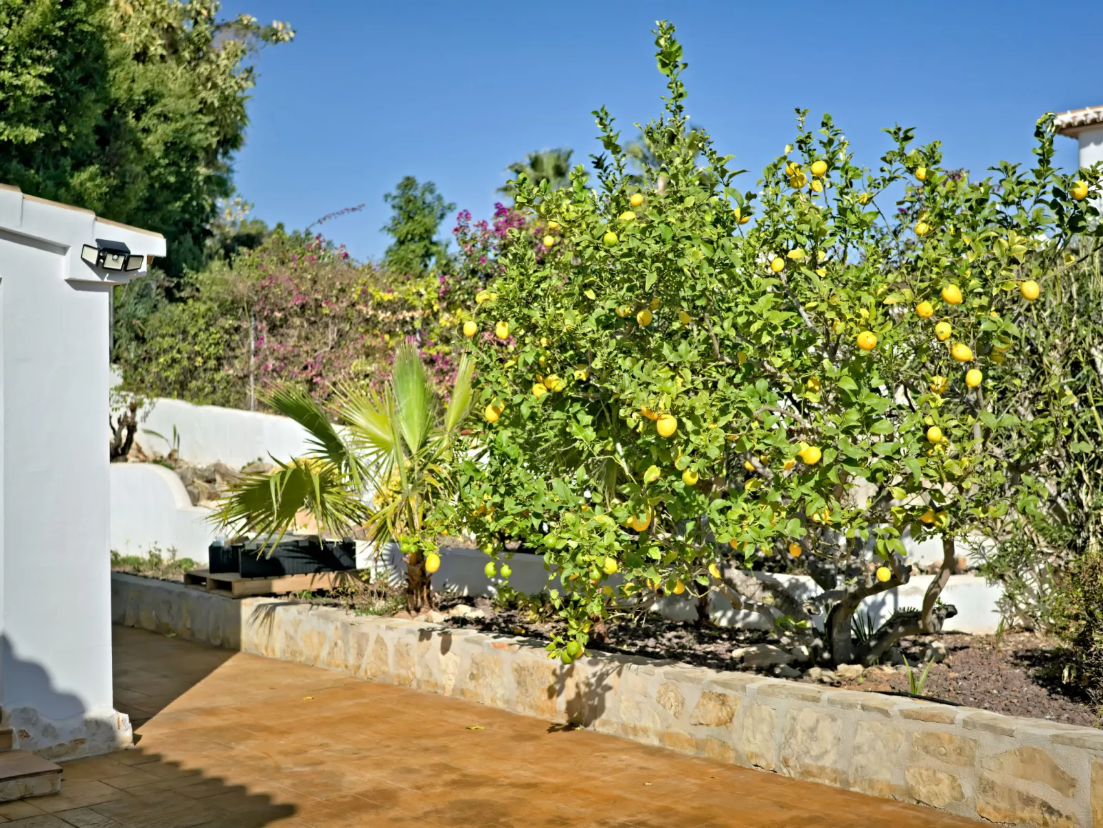 Casa Carma-Outside