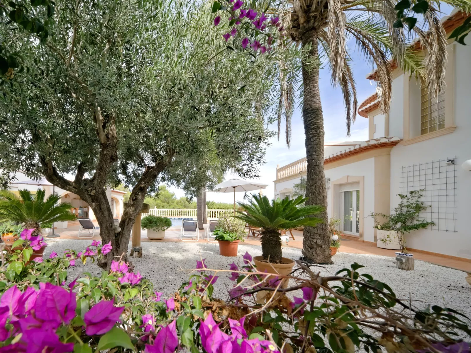 Villa Carpe Diem-Outside
