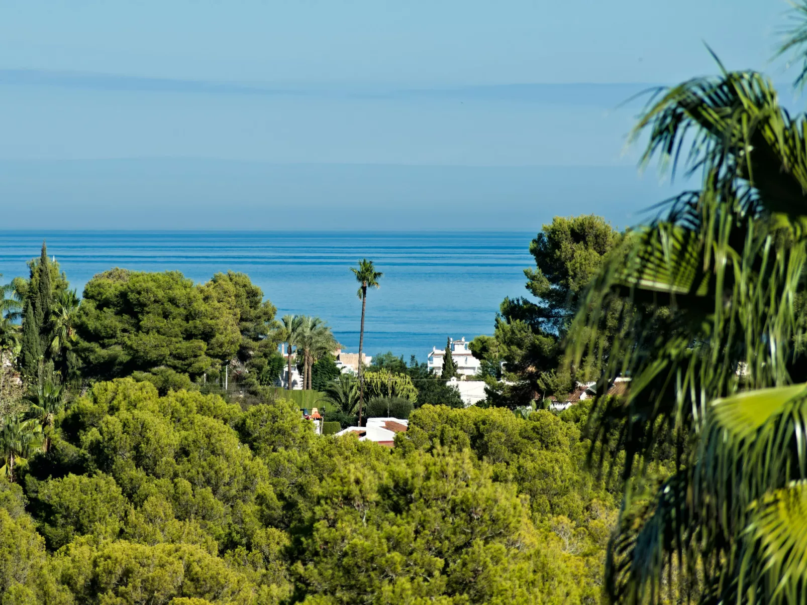 Villa Carpe Diem-Outside
