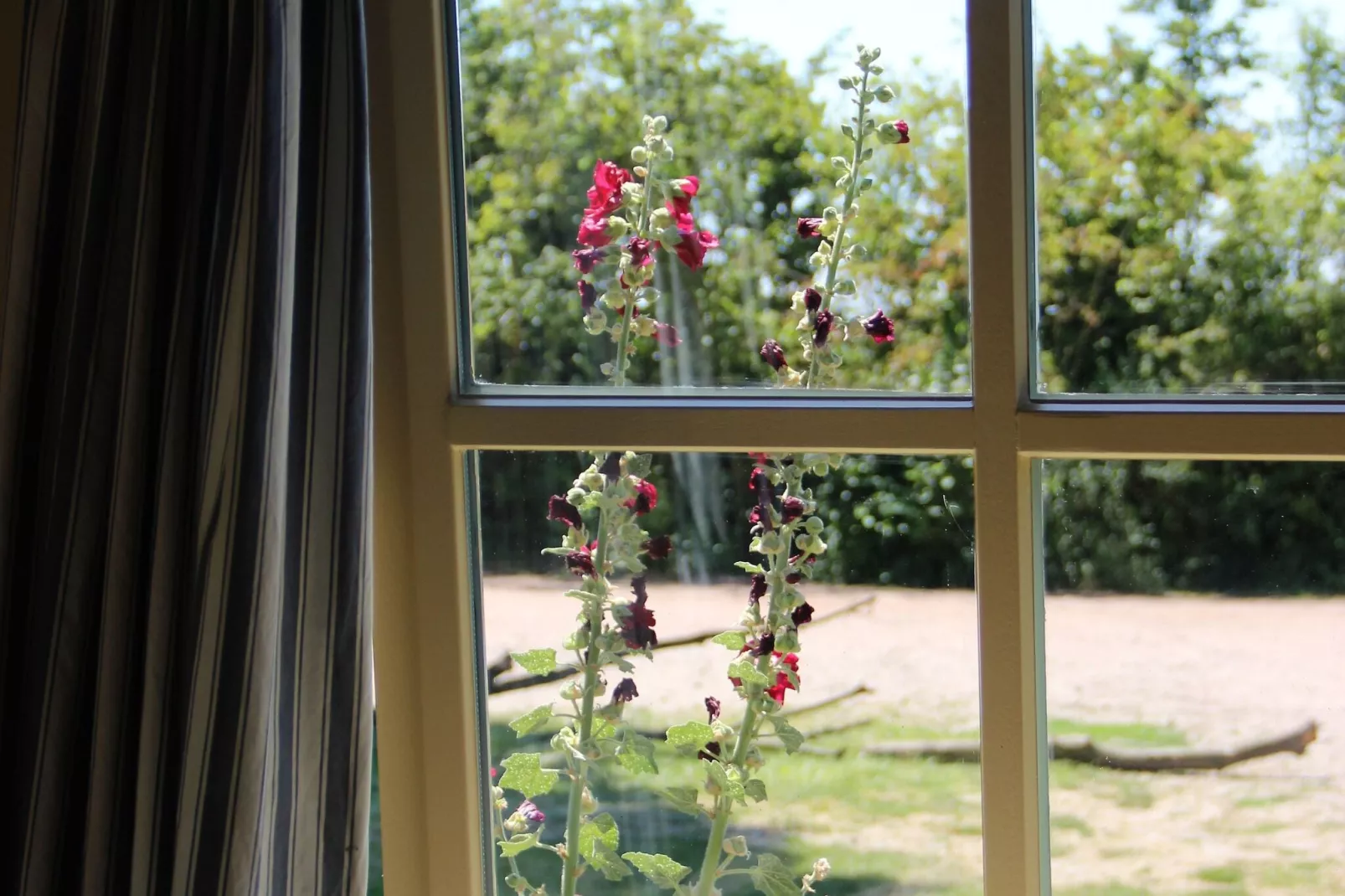 Vakantiehuisje 3 Aarde Groene Camping Lage Zwaluwe-Aussicht Sommer