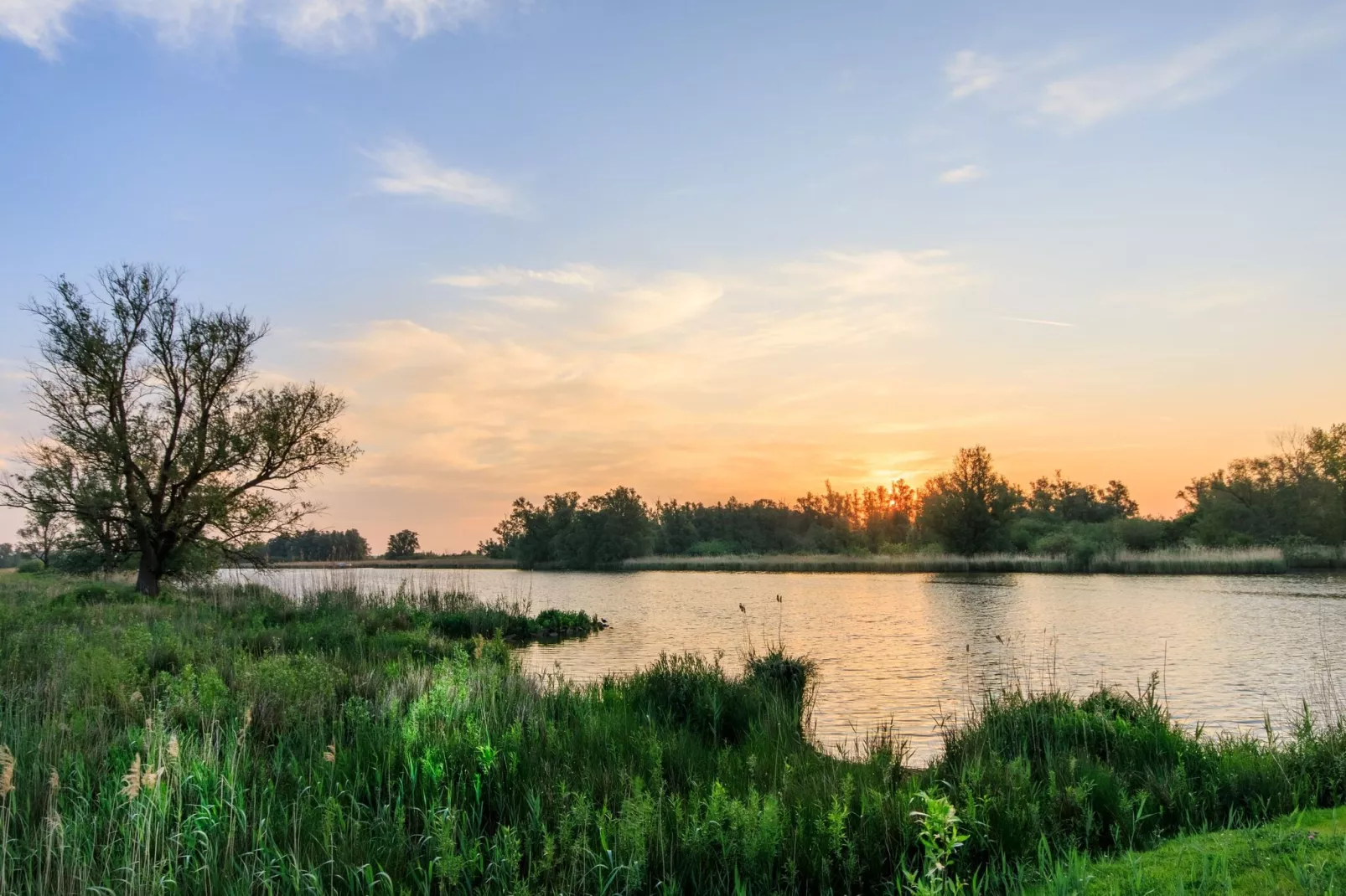 Vakantiehuisje 3 Aarde Groene Camping Lage Zwaluwe-Gebiete Sommer 5 km