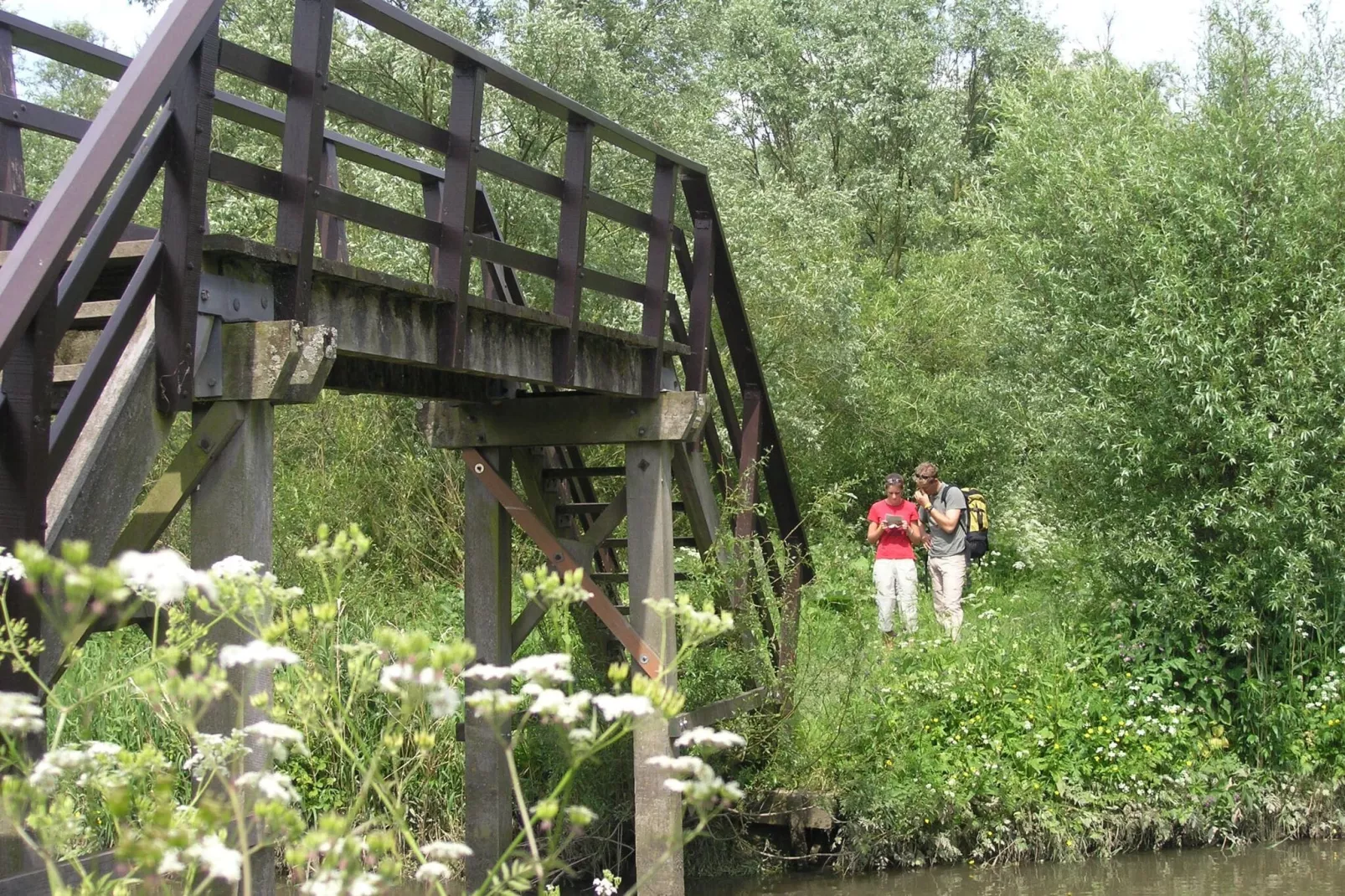 Vakantiehuisje 3 Aarde Groene Camping Lage Zwaluwe-Gebiete Sommer 20 km