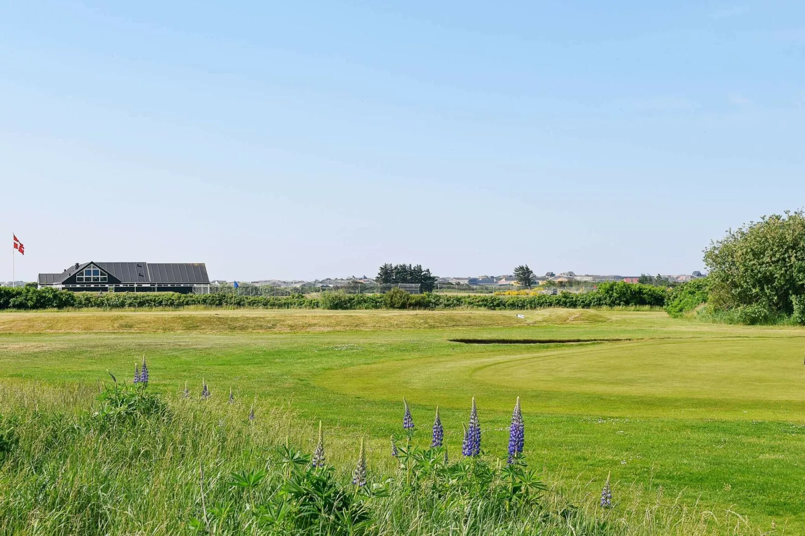 8 person holiday home in Ringkøbing-View