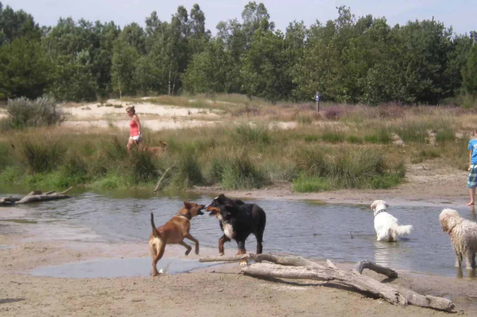 Recreatiepark Duinhoeve 4-Areas summer 1km