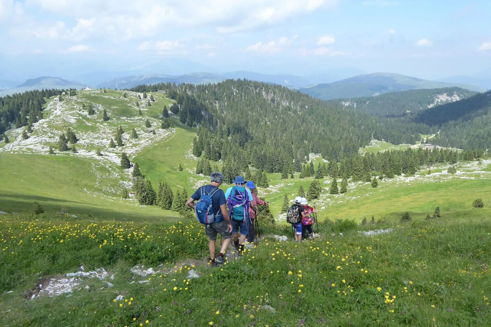CASA OLLI - Areas within 20km in summer