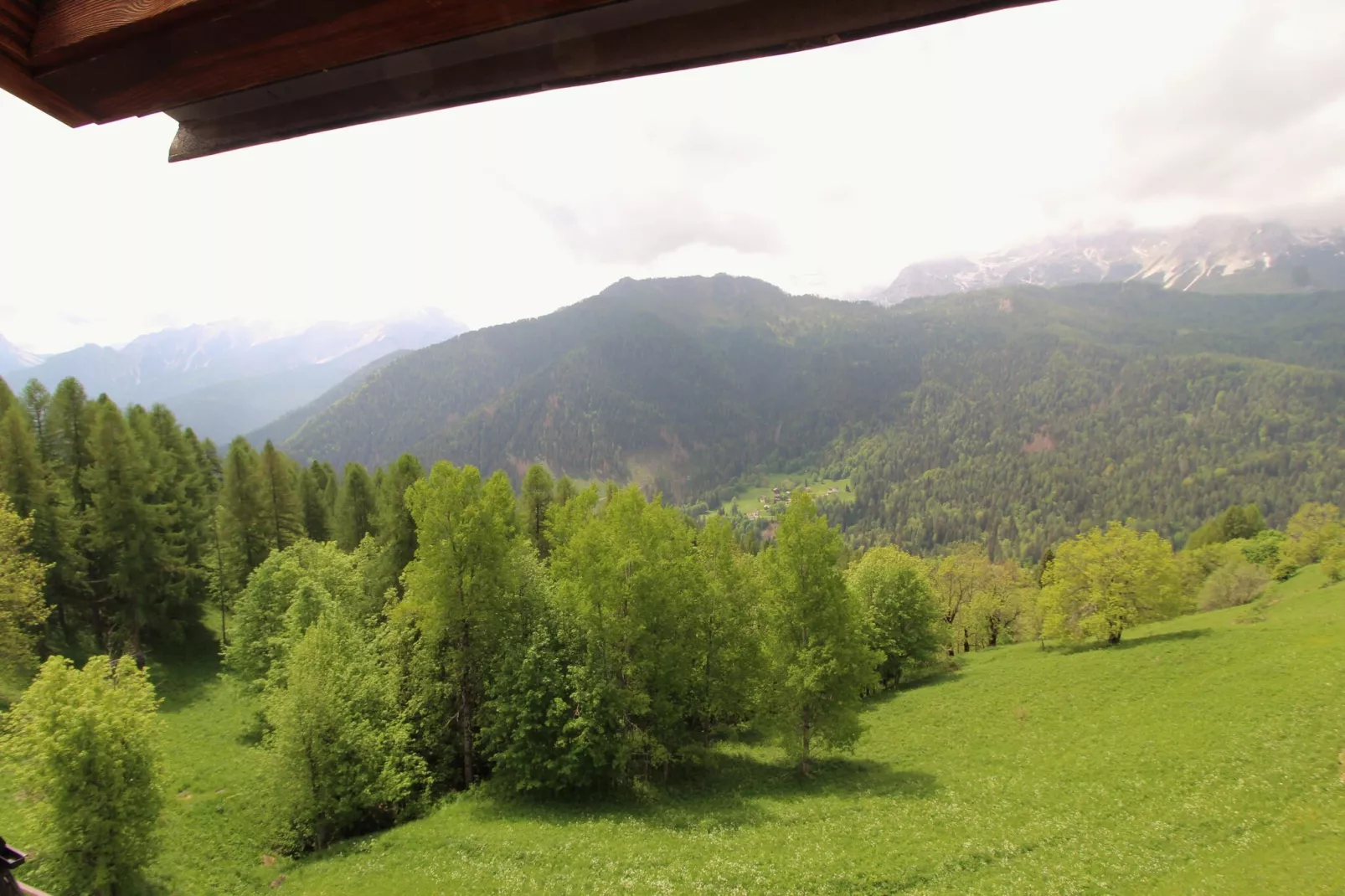 CASA OLLI - View in summer