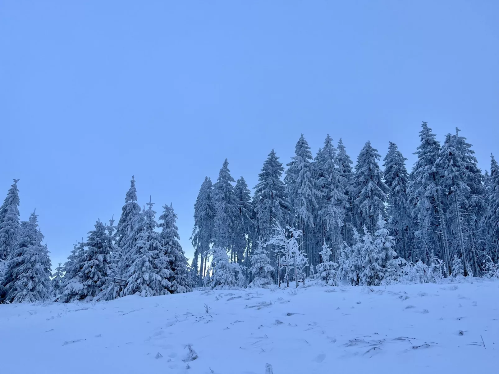 Aurora-Umgebung