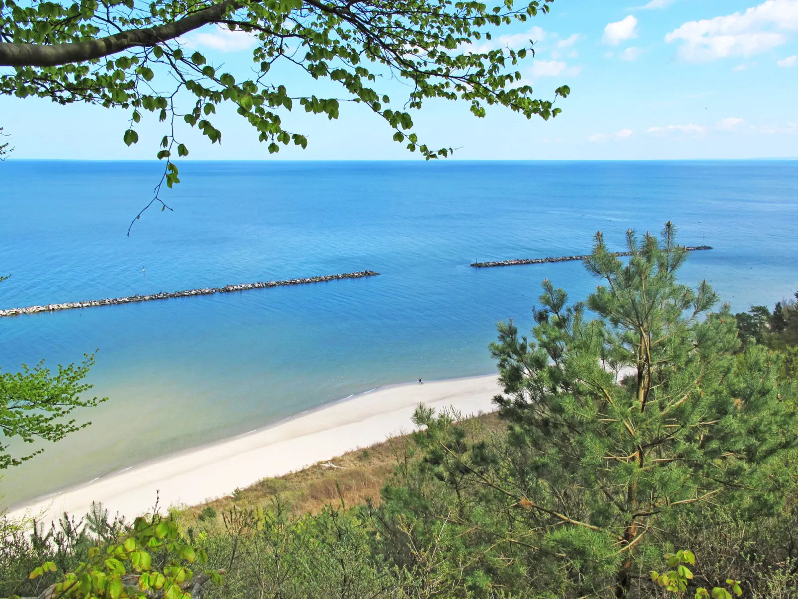 Henneberg-Area