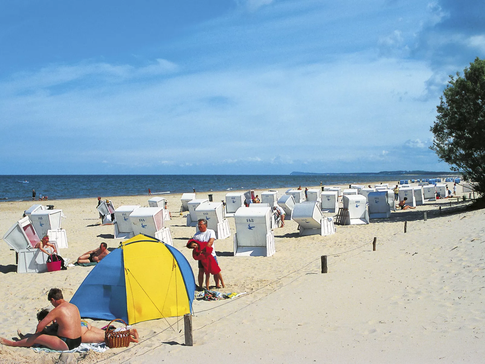 Möwennest + Muschelnest-Area
