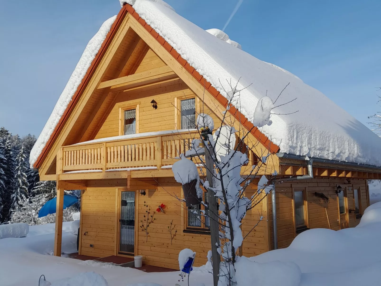 Chalet Sven-Outside