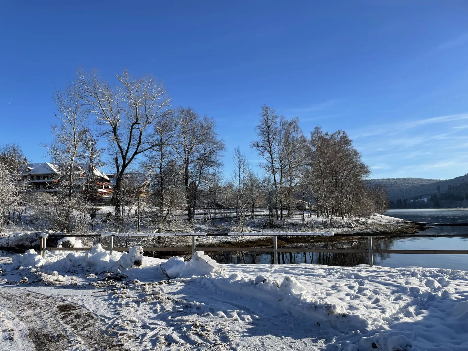 Schleuniger-Area
