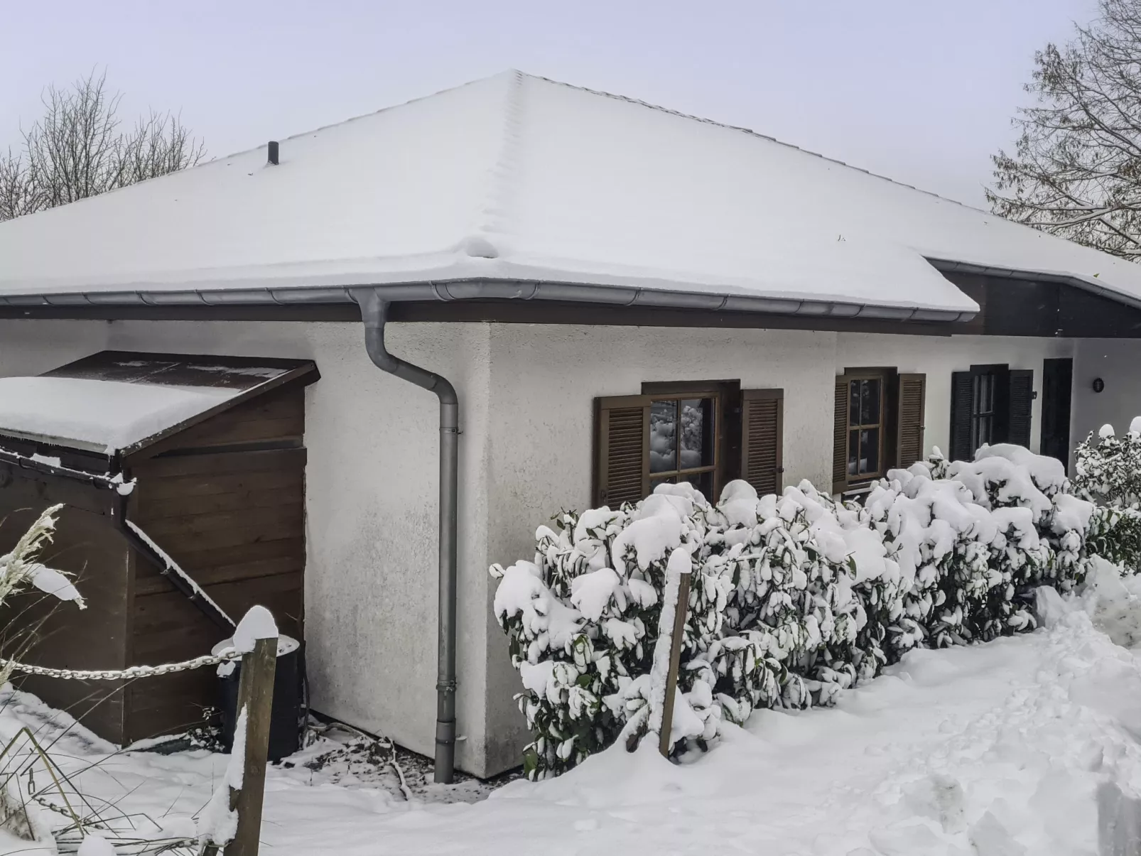 Schwesterchen-Outside