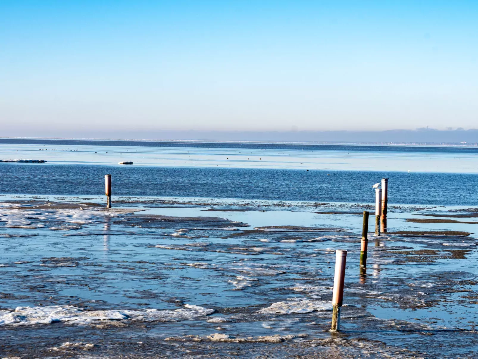 Strandläufer-Area