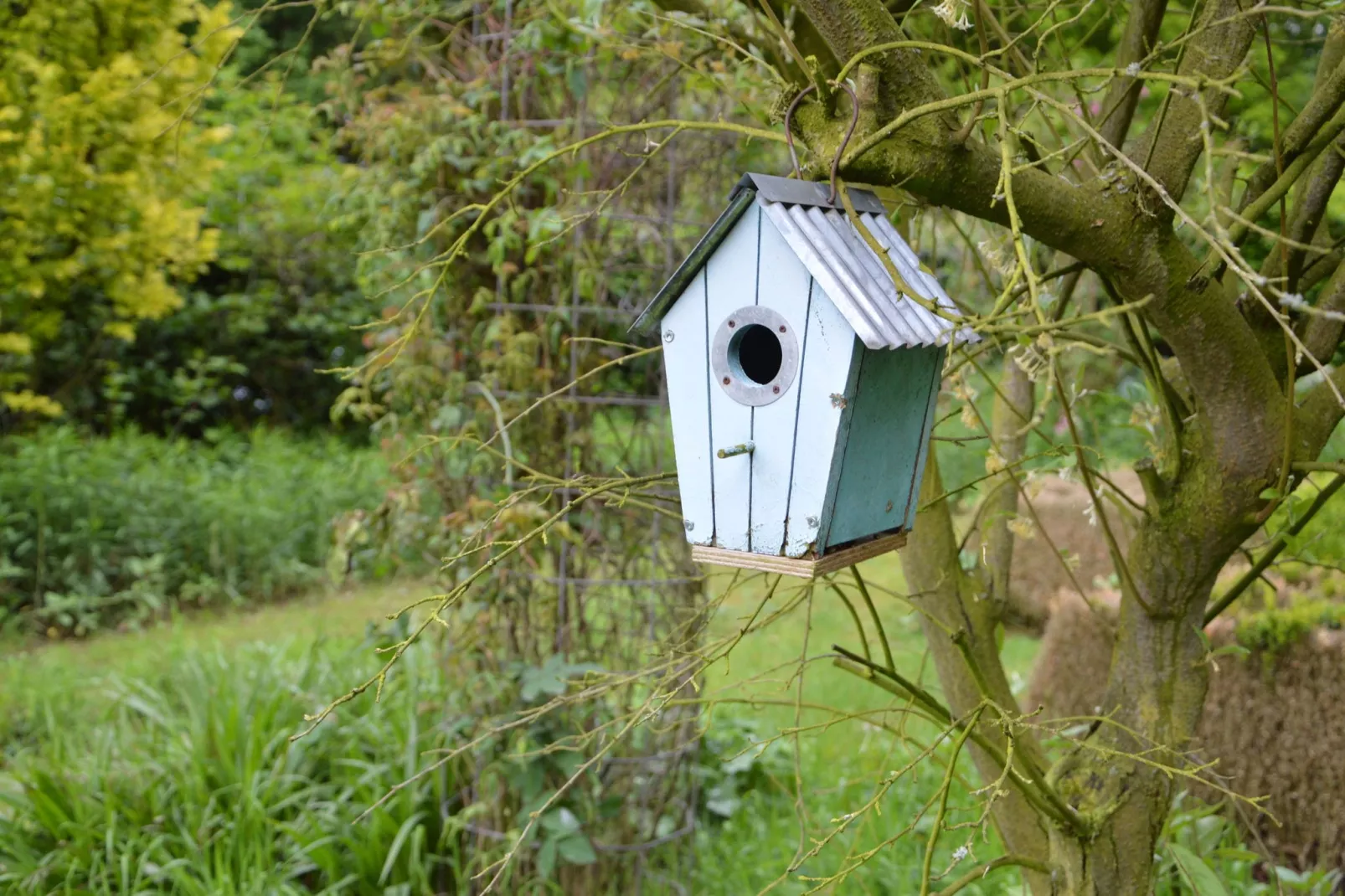 Vier Vogelenzang-Gardens summer