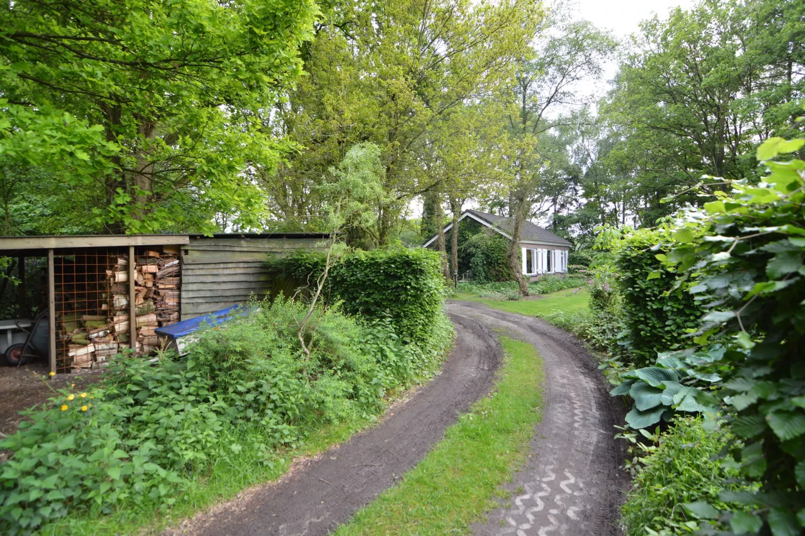Vier Vogelenzang-Gardens summer