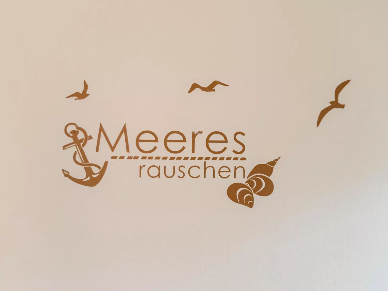 Meeresrauschen-Dehors