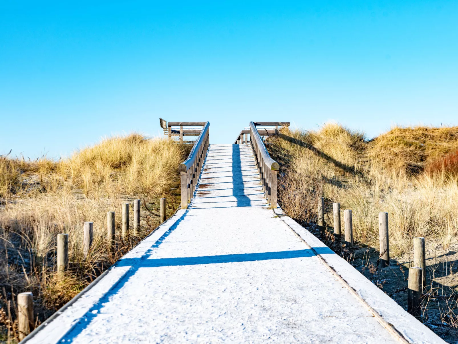Langeoog 12-Area