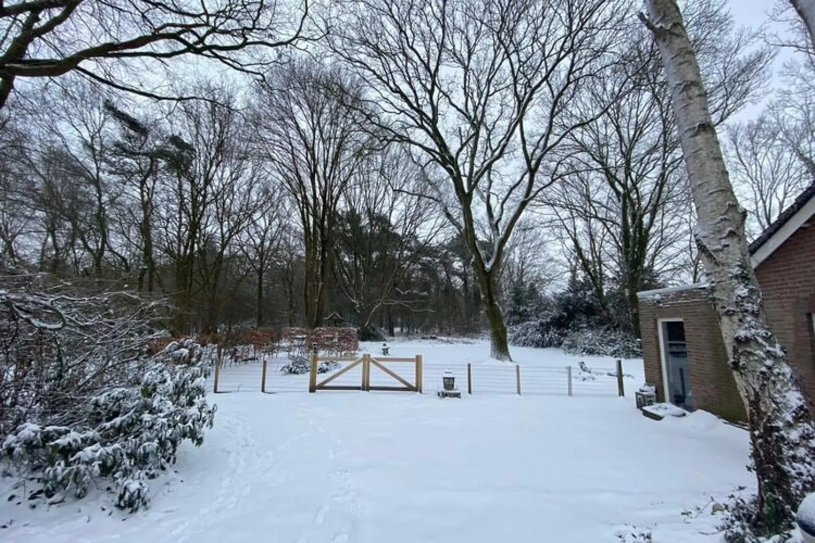 Vier Vogelenzang-Area winter 1km
