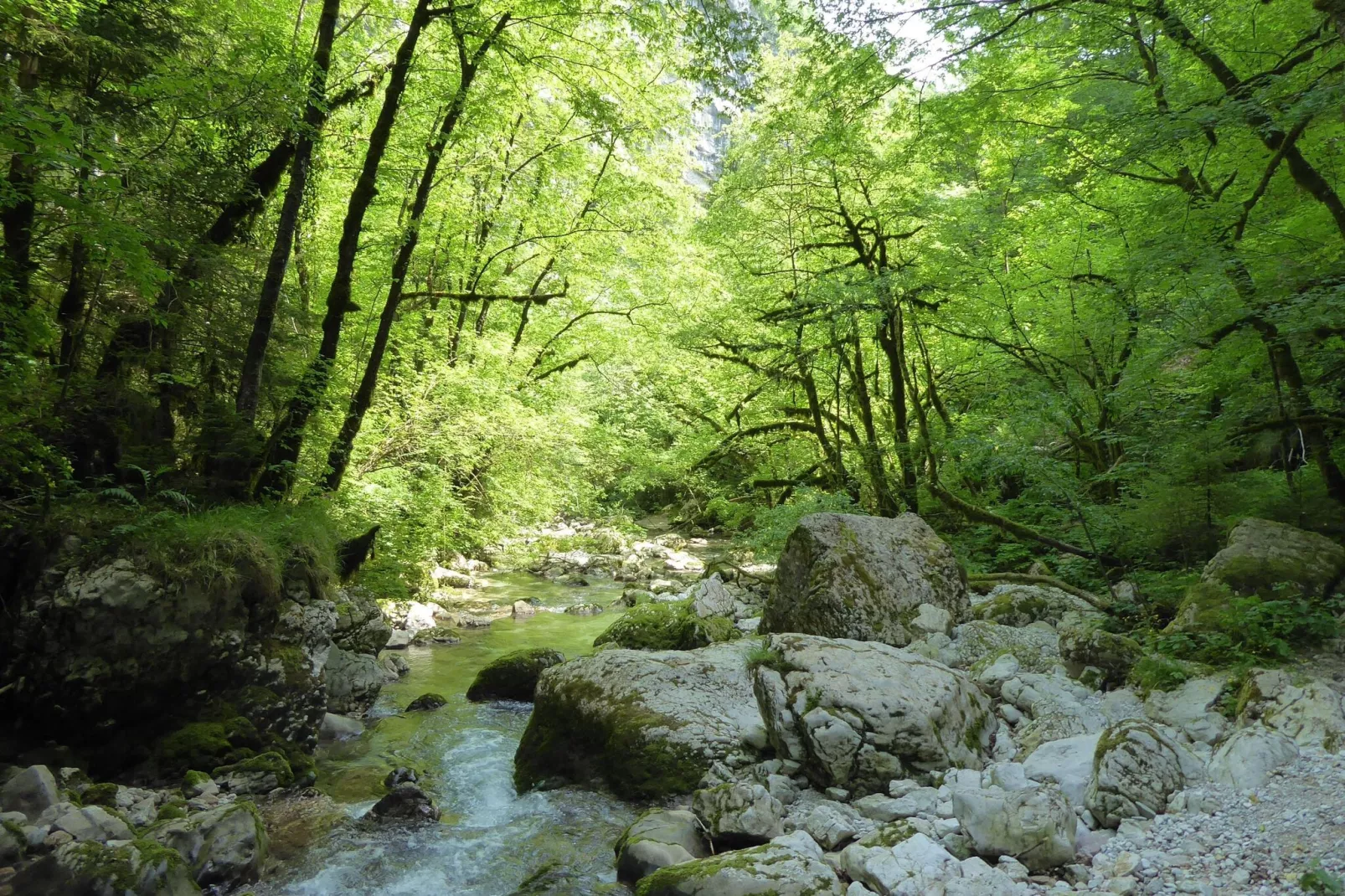 Costa di Gial-Areas summer 5km