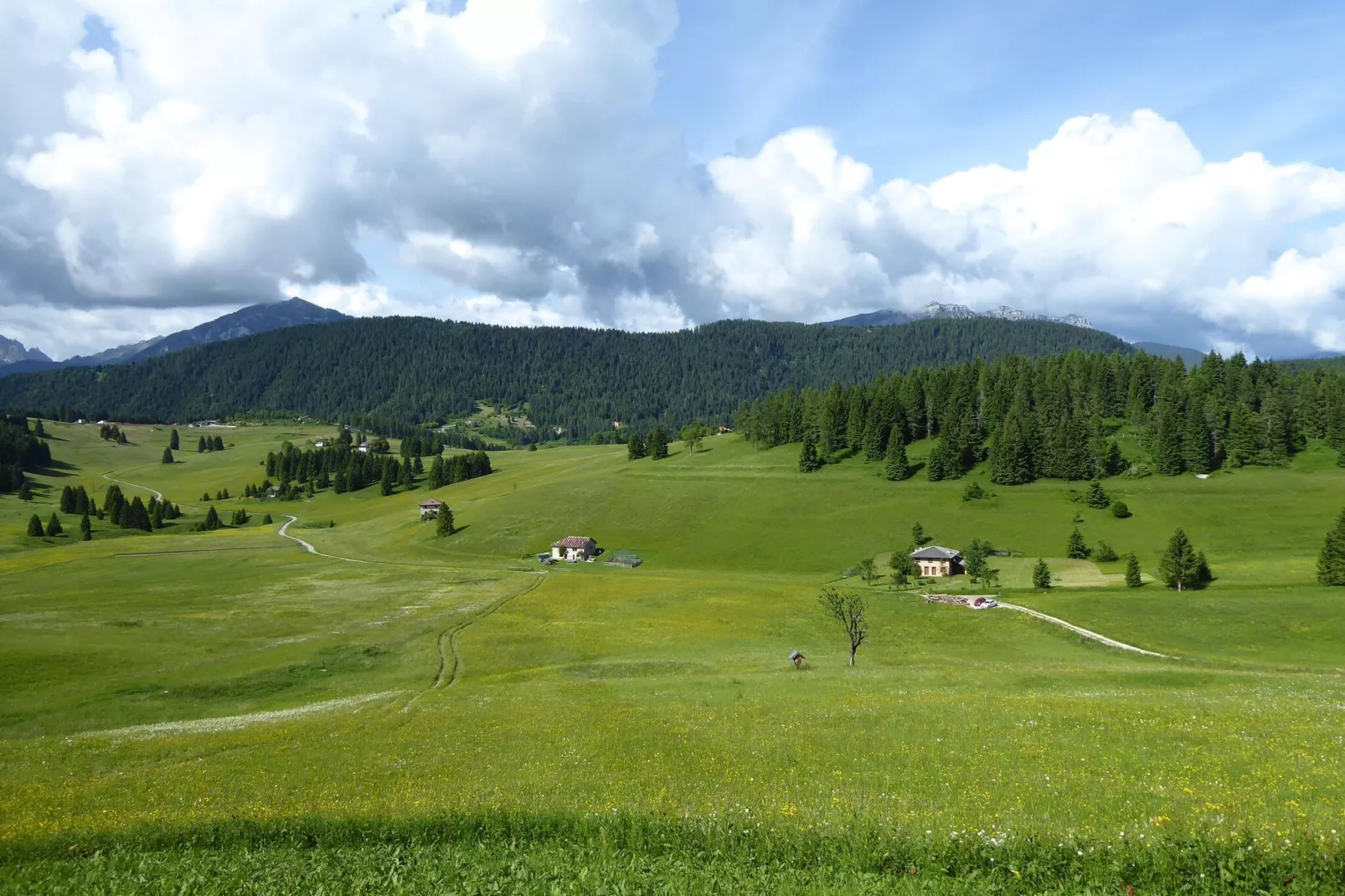 Costa di Gial-Areas summer 20km