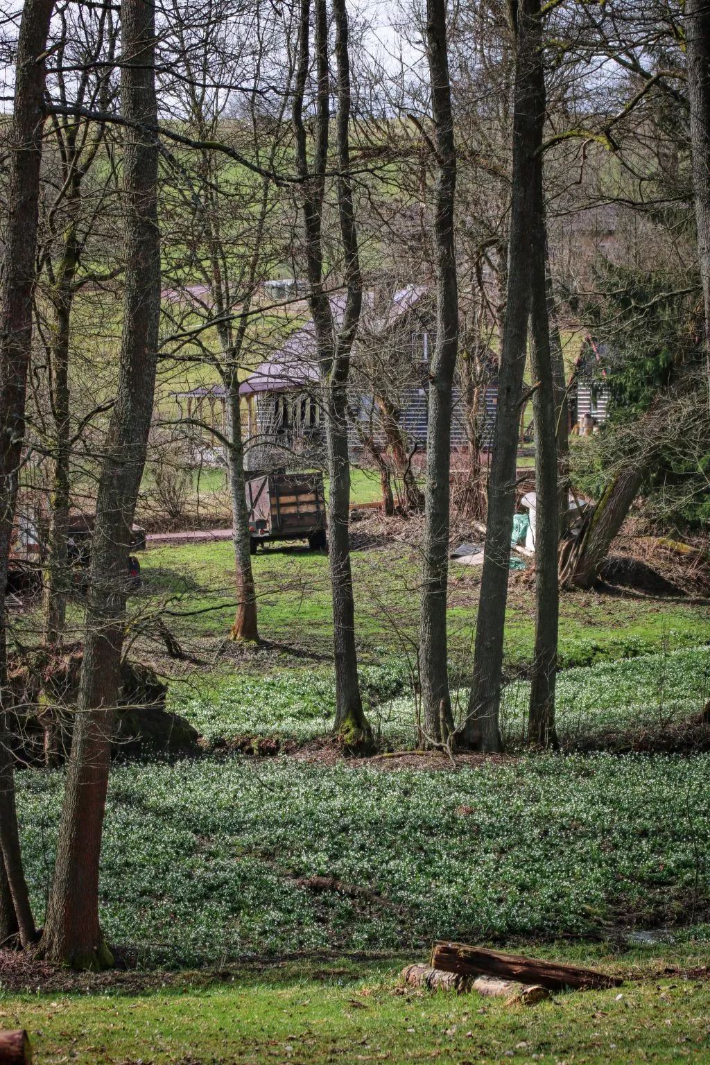Luxe Timber Lodge & Pet Retreat-Area