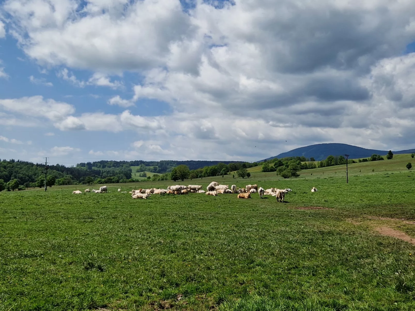 Lesní plovárna B1-Area
