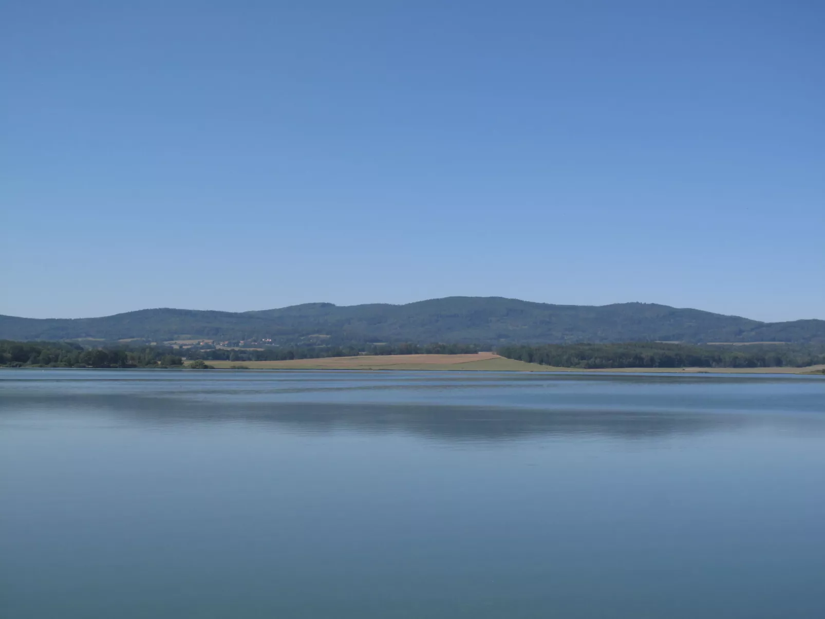 Žabovřesky-Area