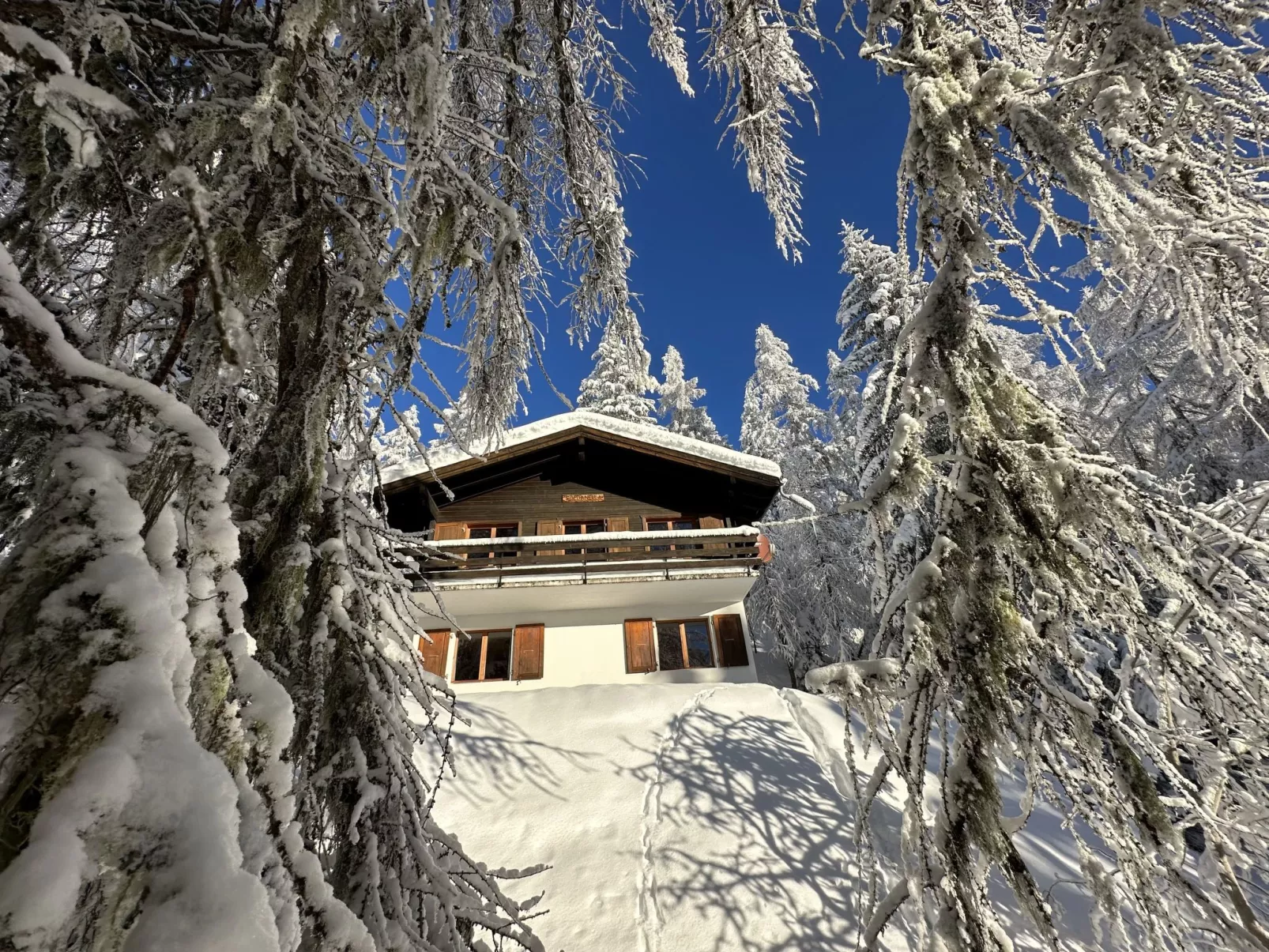 Chalet Soldanella (BEL205)-Dehors