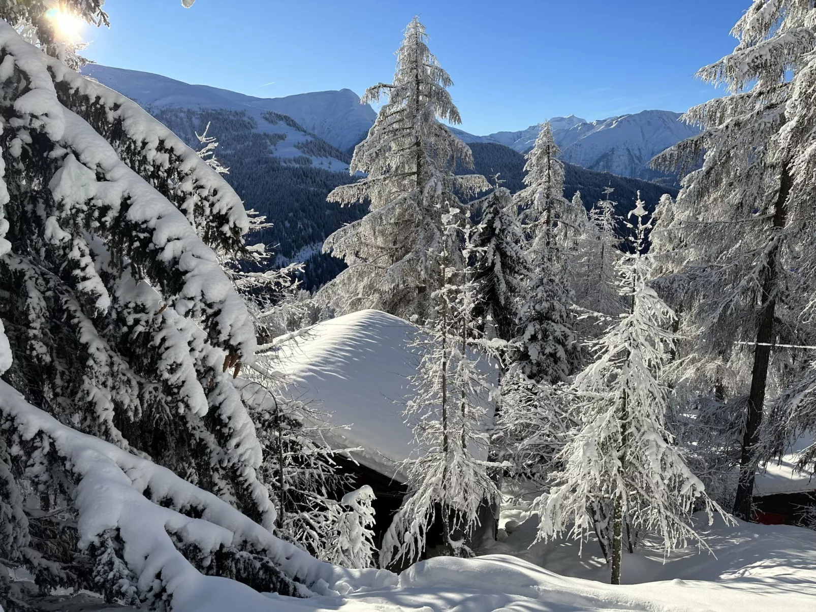 Chalet Soldanella (BEL205)-Dehors