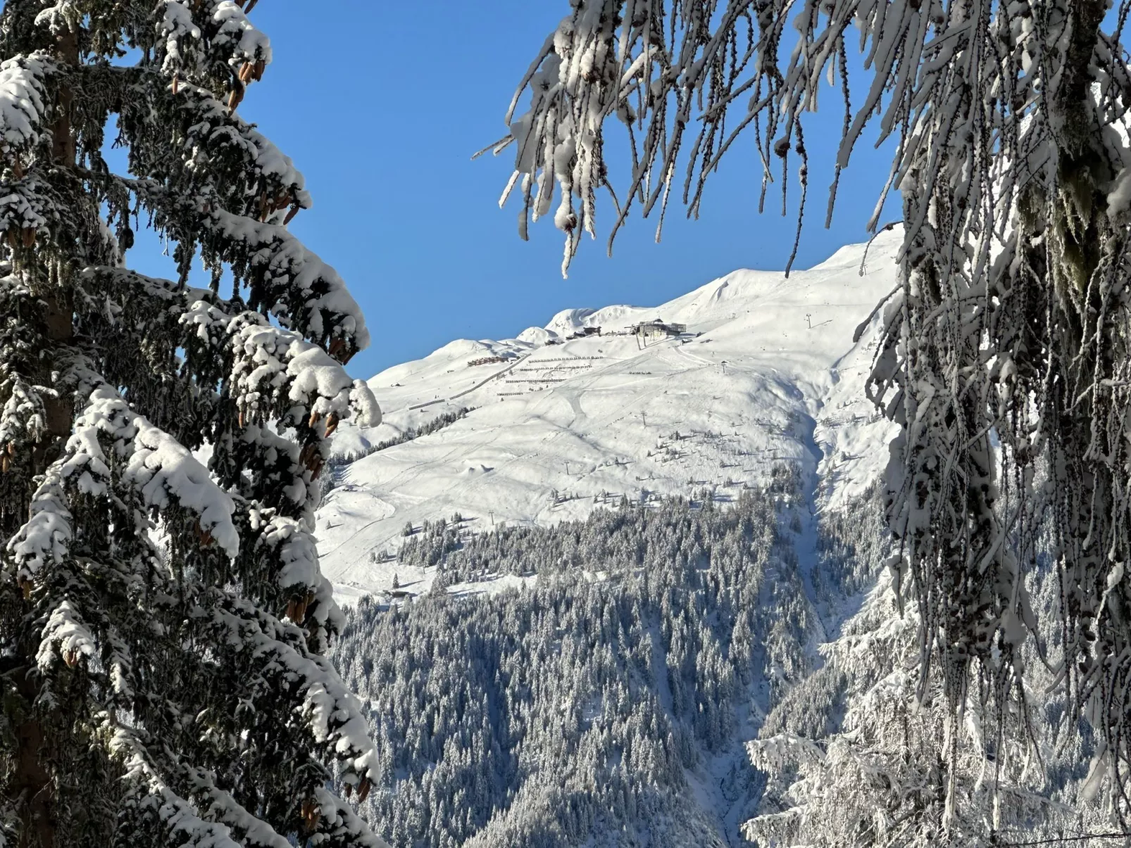 Chalet Soldanella (BEL205)-Dehors