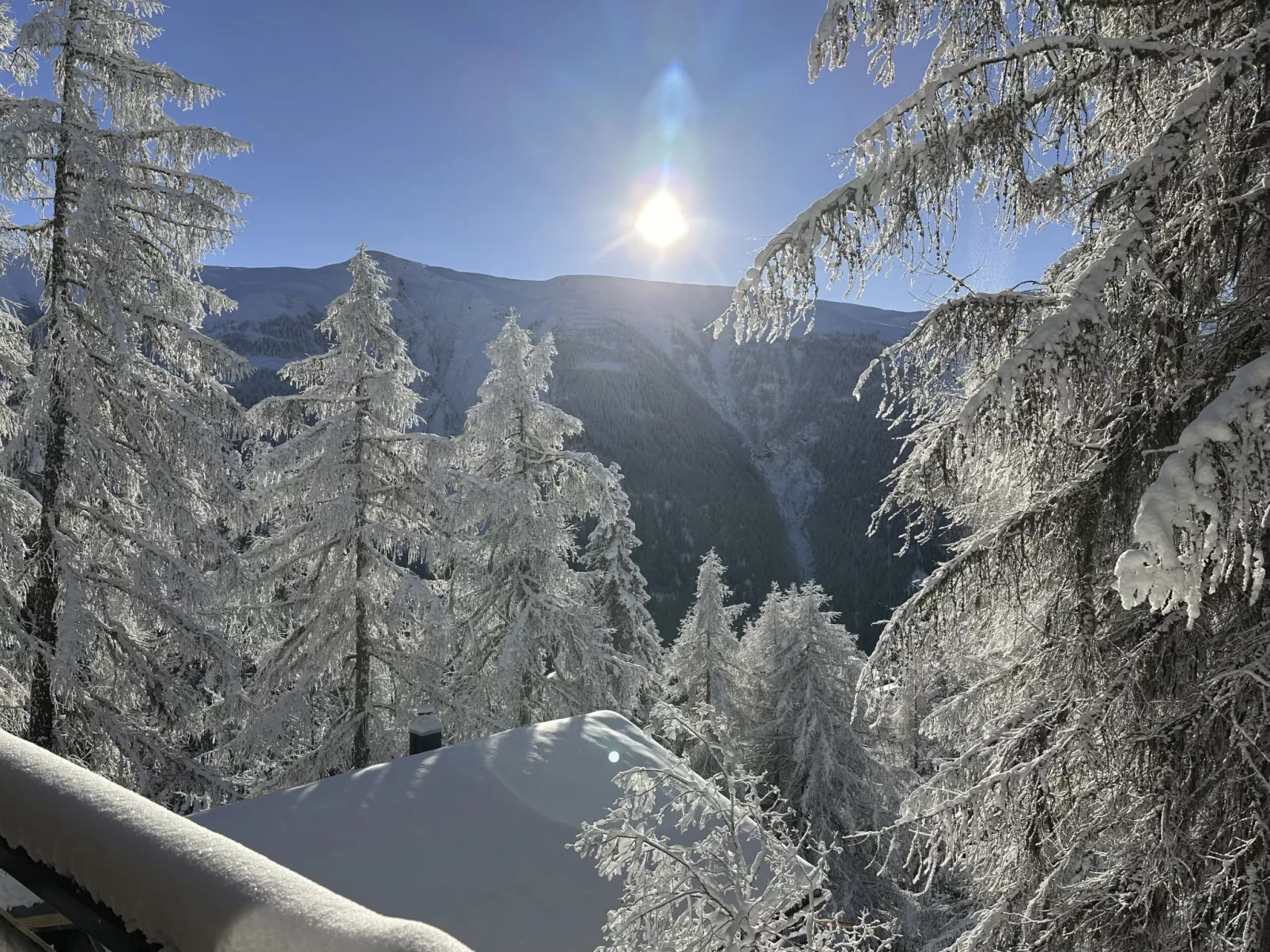 Chalet Soldanella (BEL205)-Dehors
