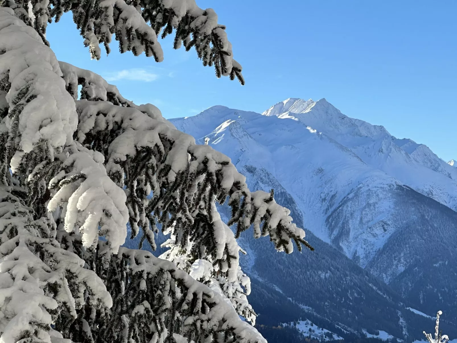 Chalet Soldanella (BEL205)-Dehors