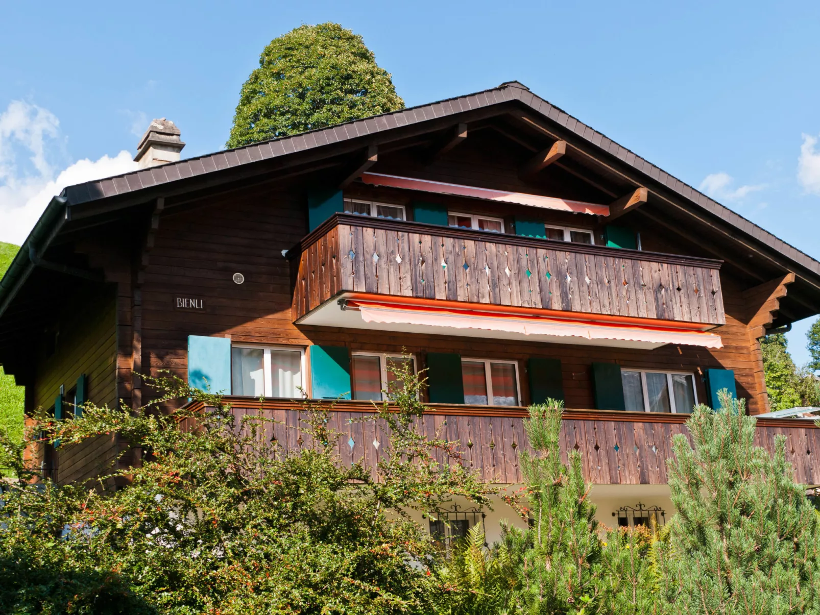 Chalet Bienli Oben-Outside