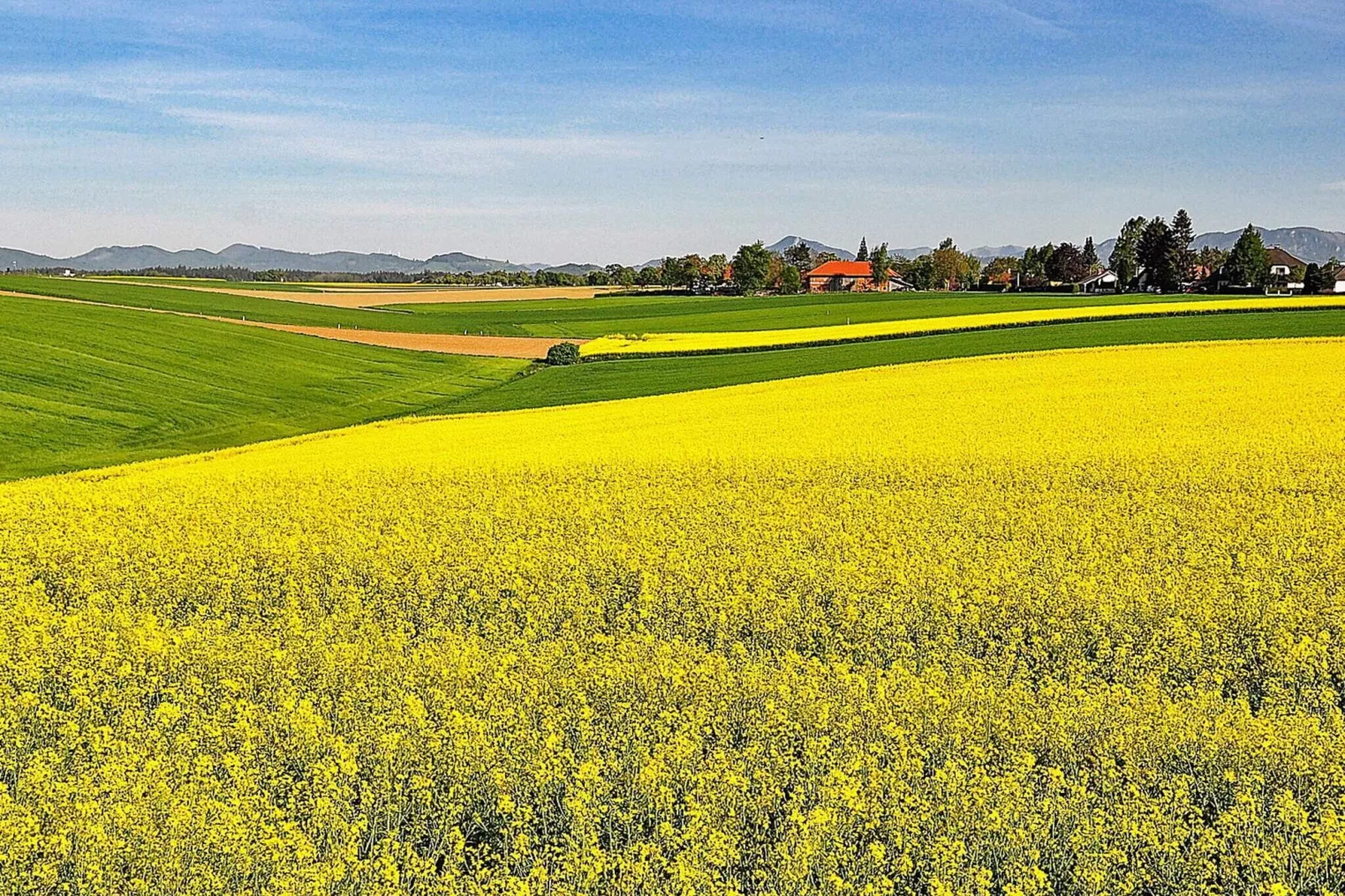 Panoramic Skanelanga Retreat-By Traum-View