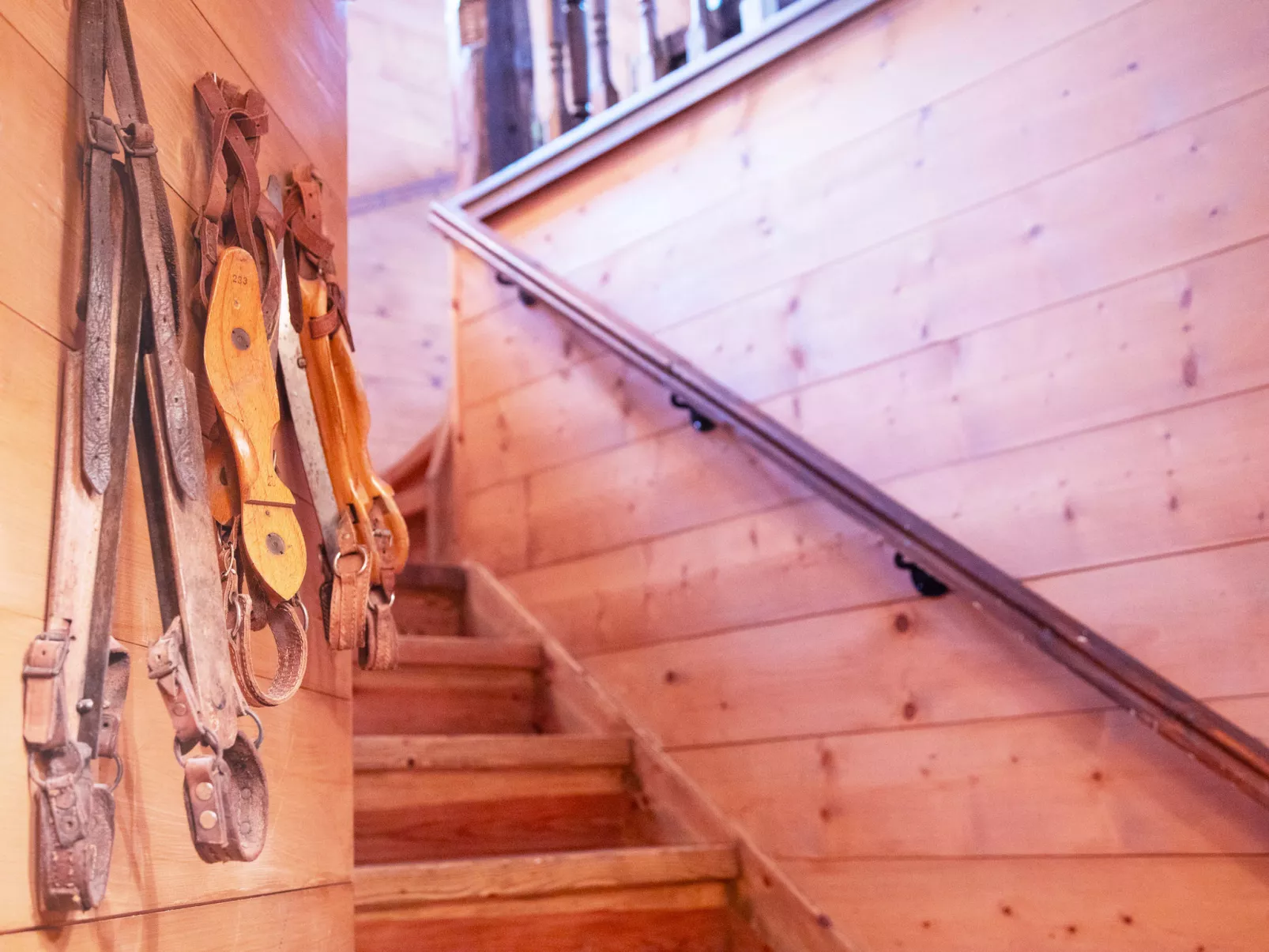 Chalet Tetras-Dedans