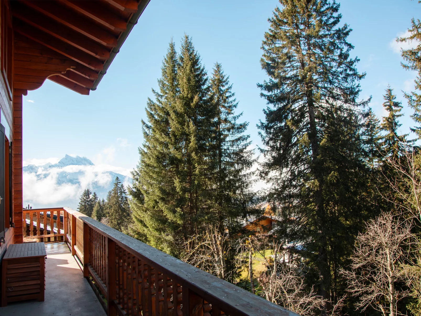 Chalet Tetras-Dehors
