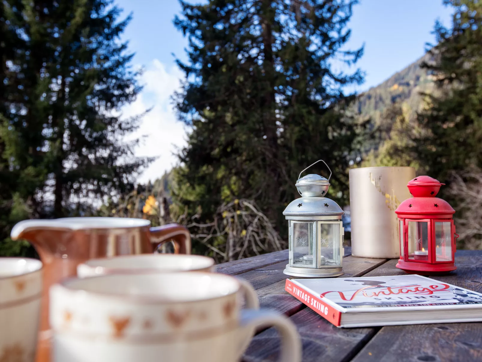 Chalet Tetras-Dedans