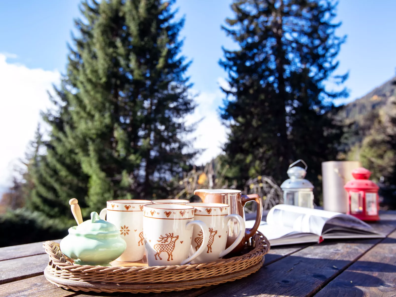 Chalet Tetras-Dedans