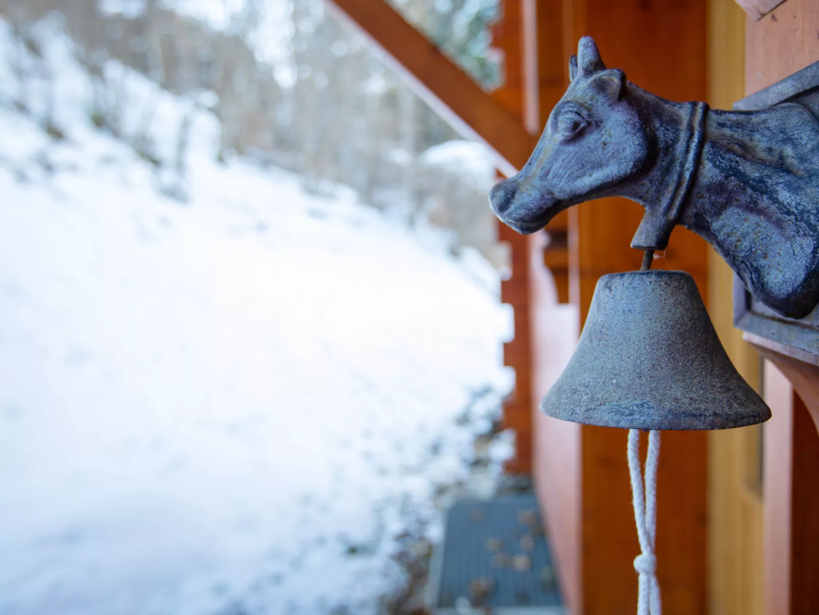 Chalet Les Pars-Inside