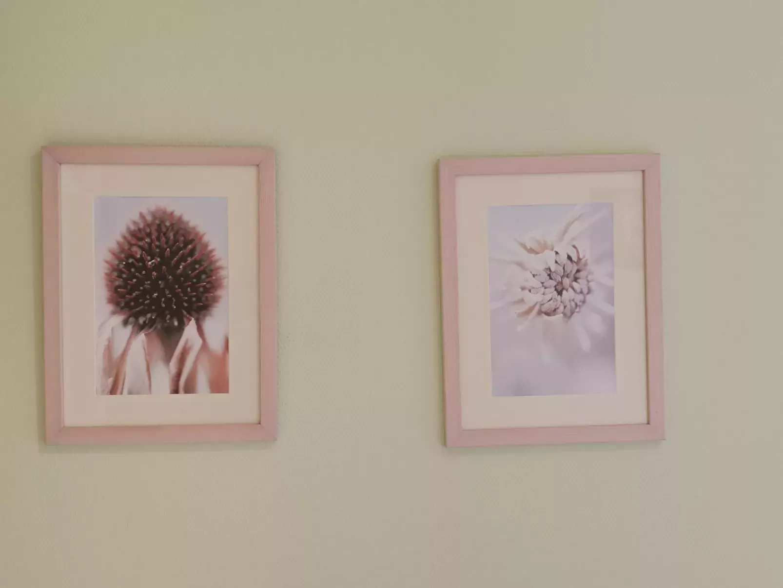 Green Garden-Inside