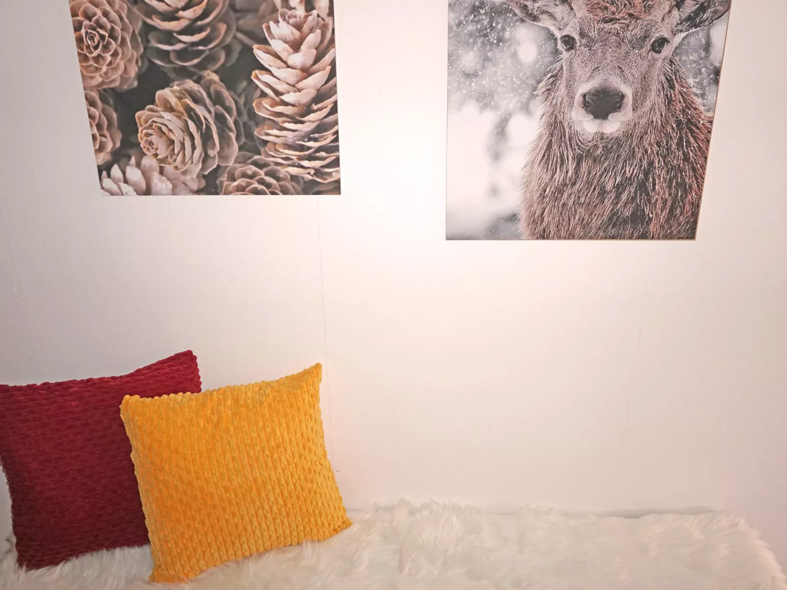 Sandra Falch-Inside