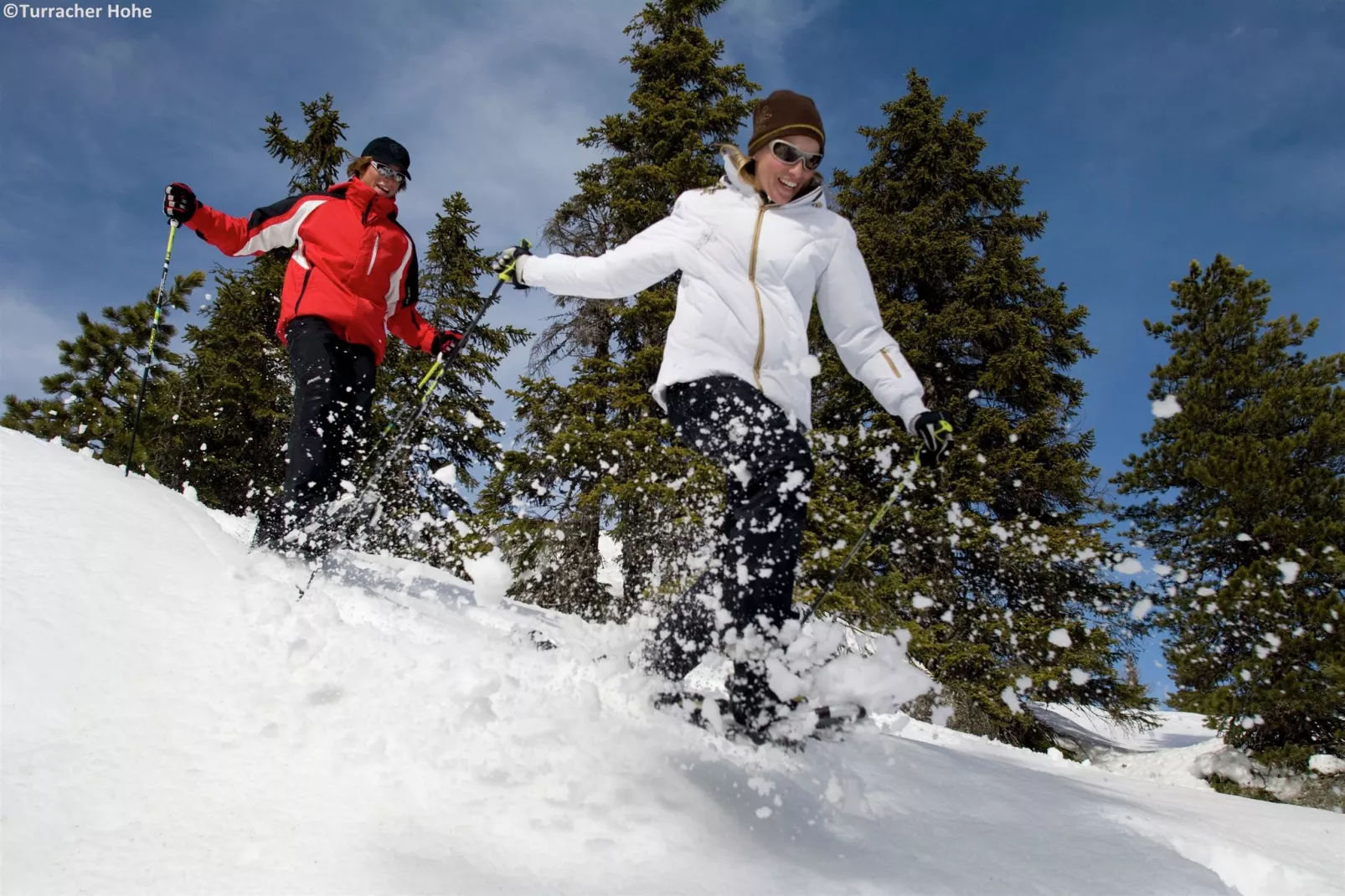 Alpenpark Turrach 14-Area winter 1km