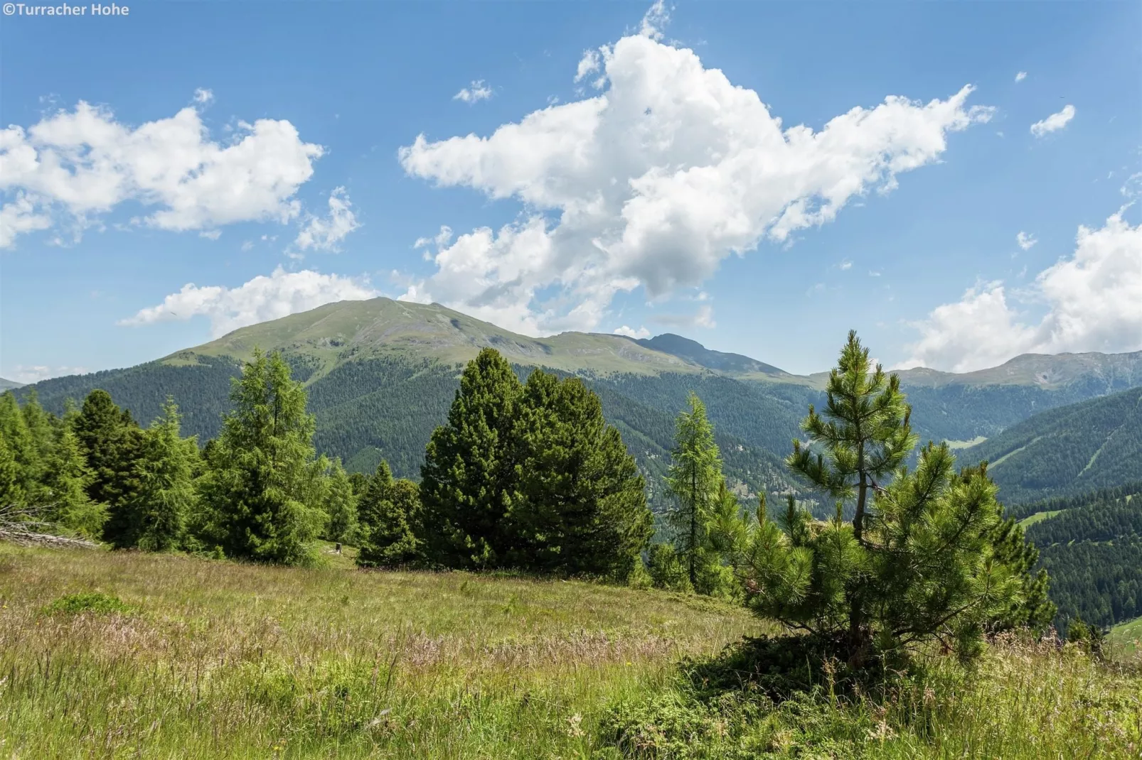 Alpenpark Turrach 14-Areas summer 1km