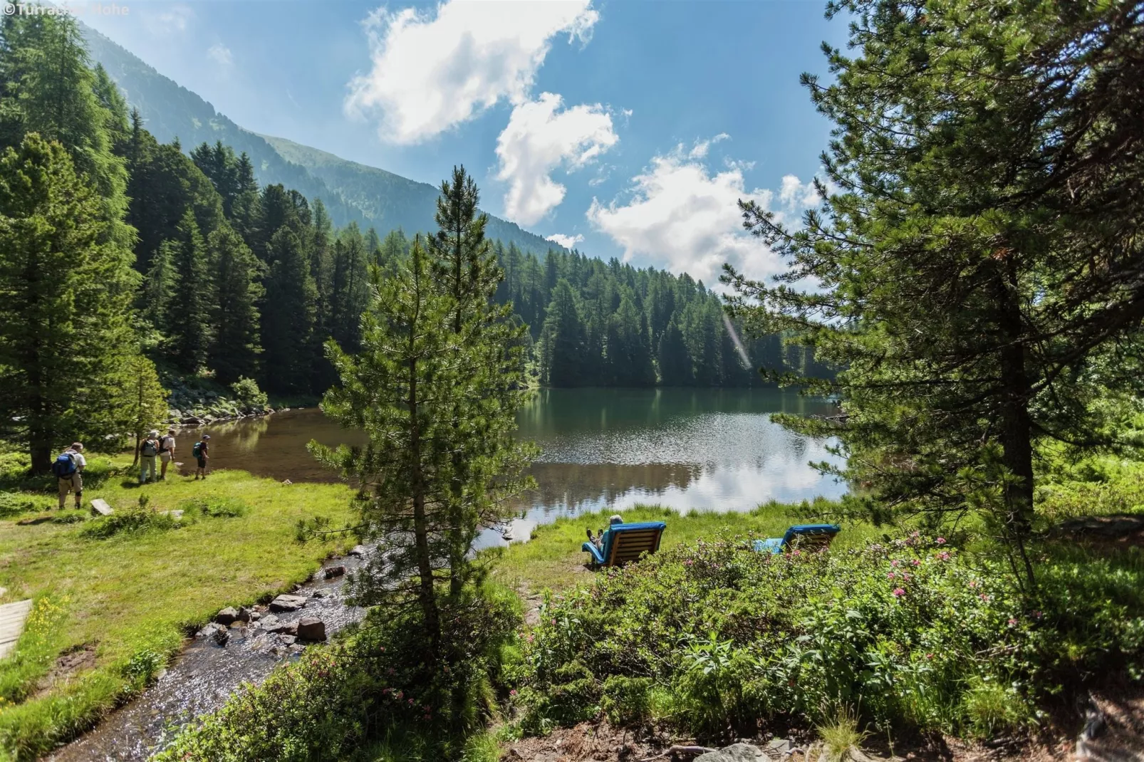 Alpenpark Turrach 14-Areas summer 5km