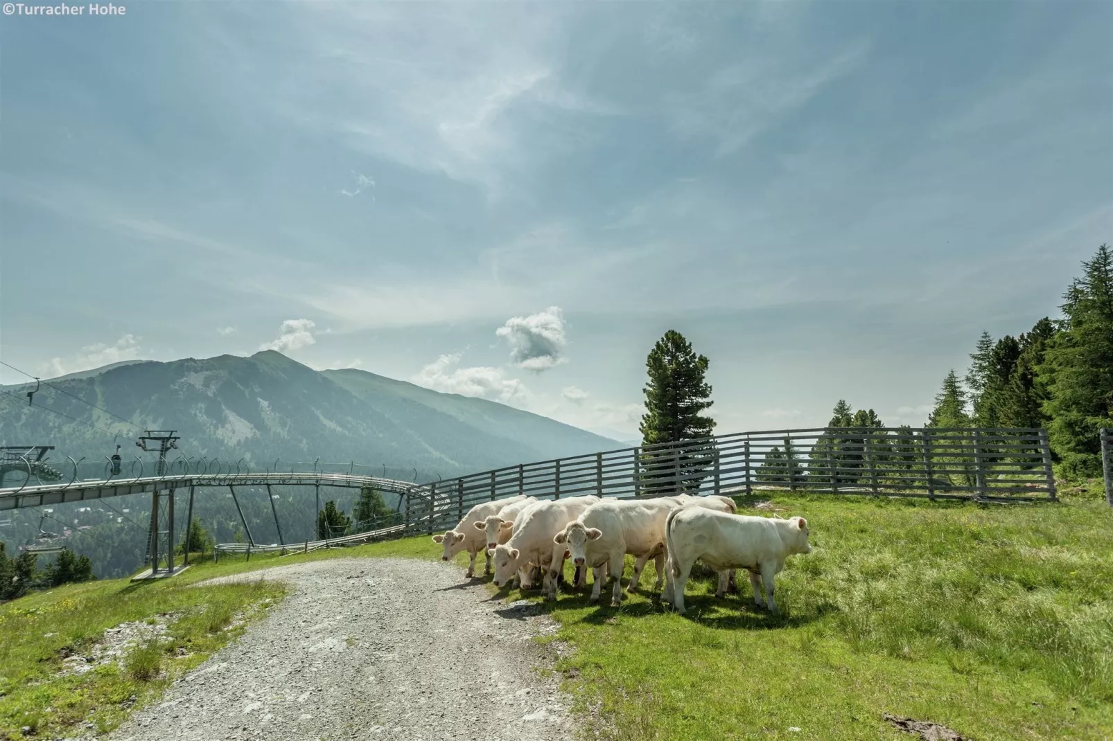 Alpenpark Turrach 14-Areas summer 5km