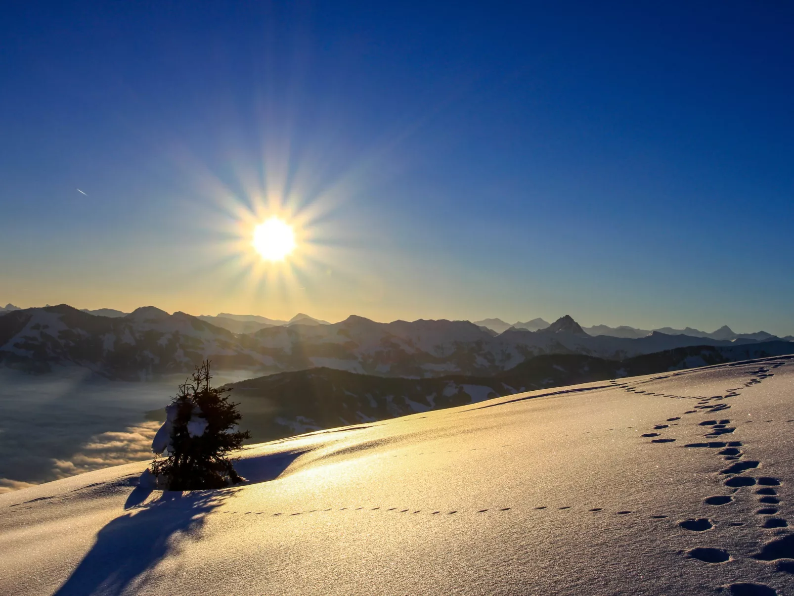 Alpine Residence Auszeit-Area