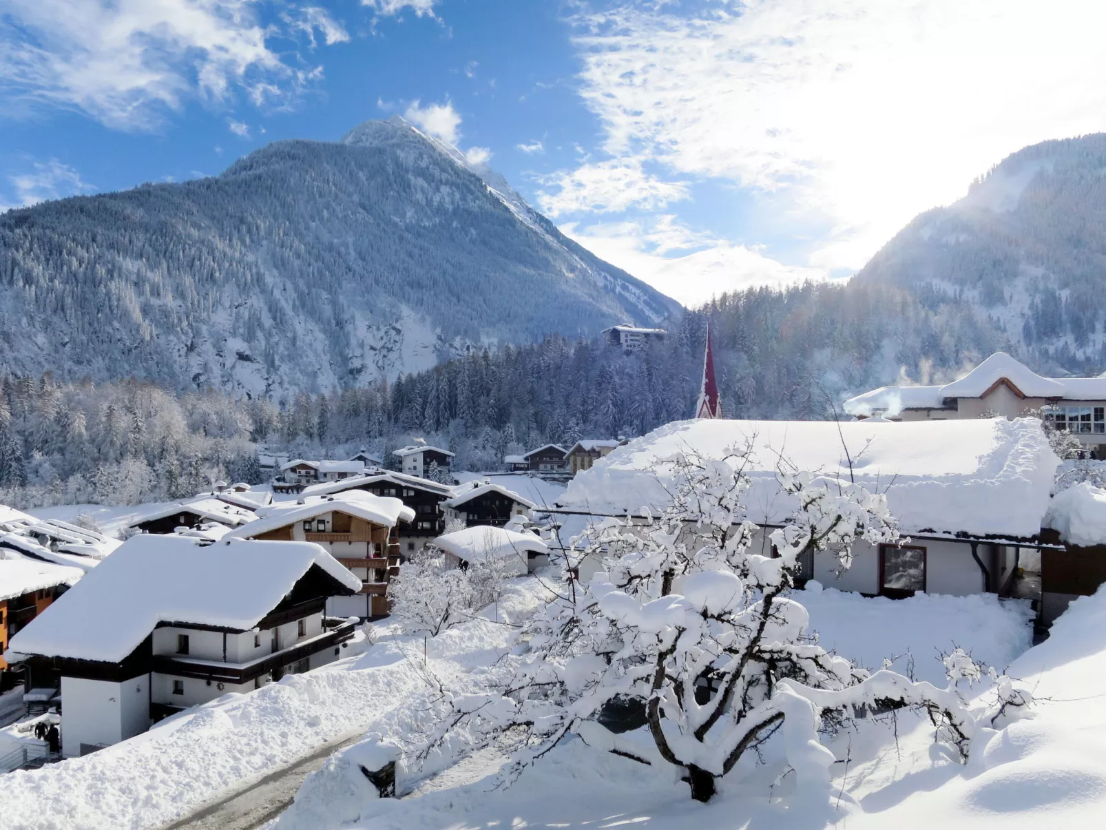 Alpina-Area
