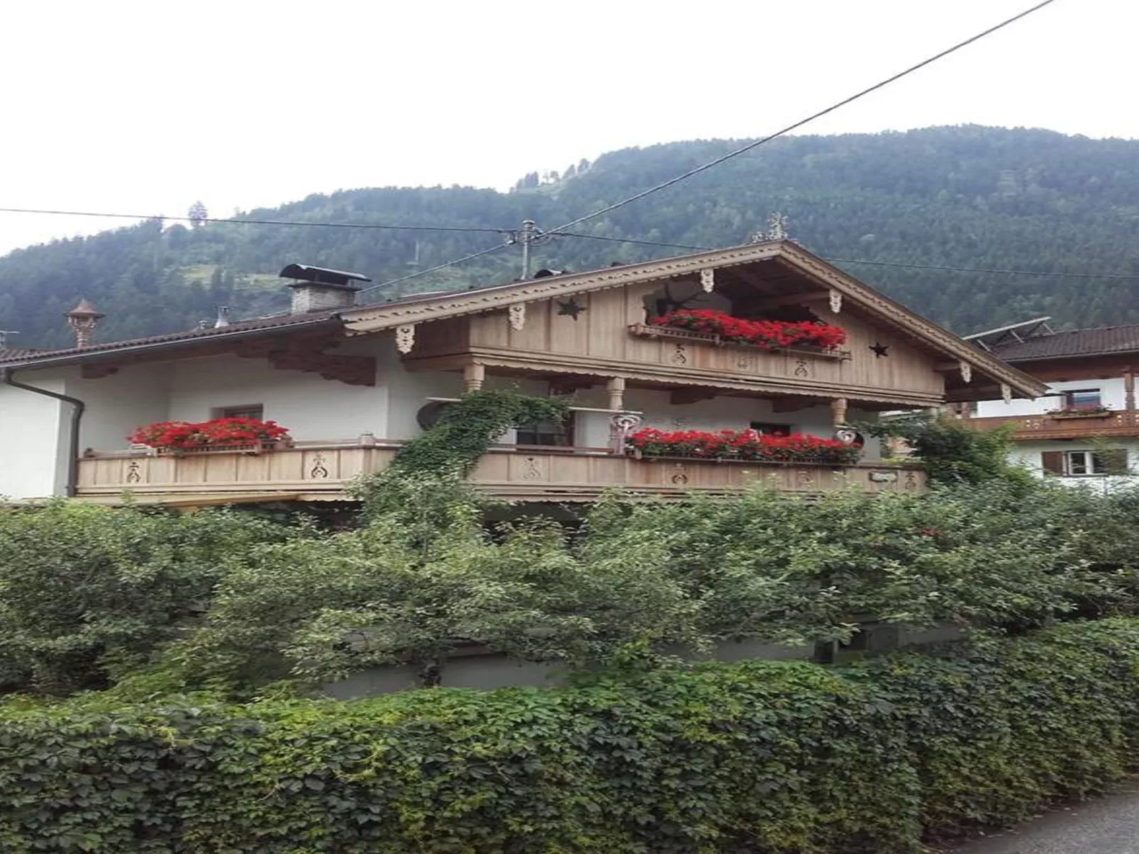 Edelweiß-Outside
