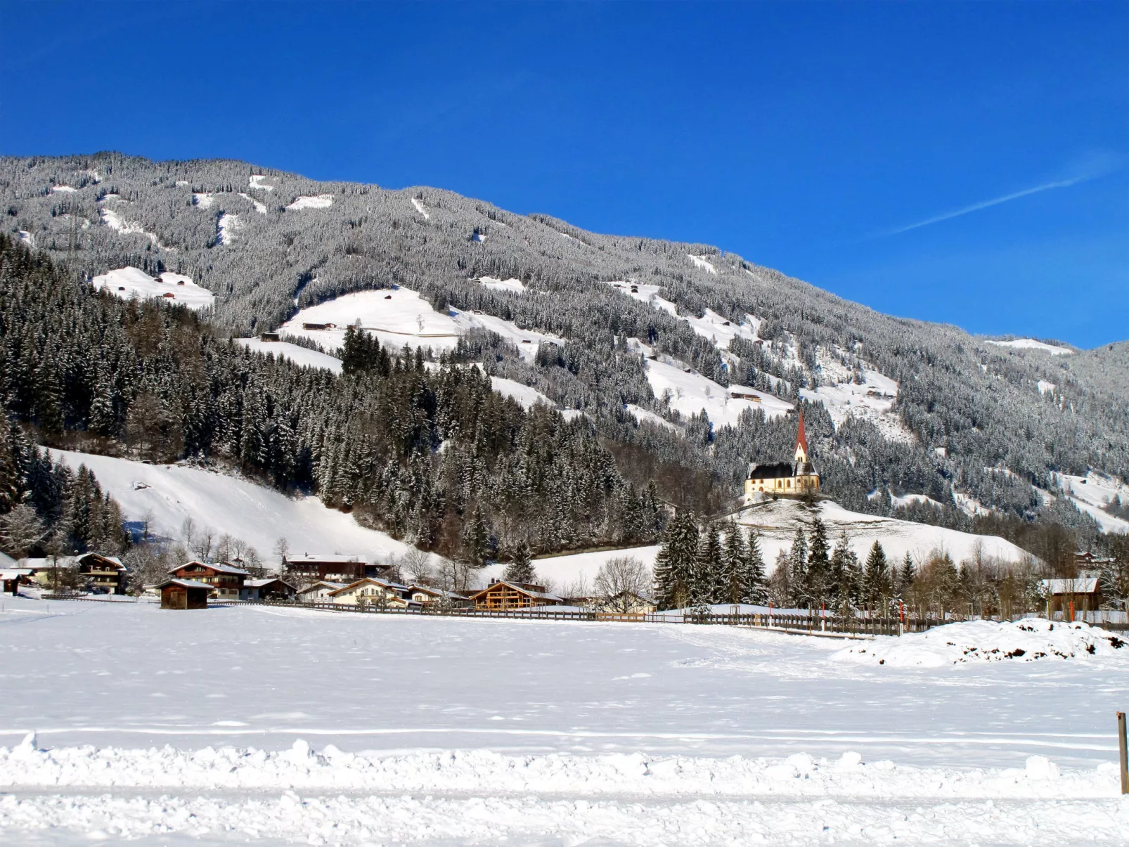 Johann-Area